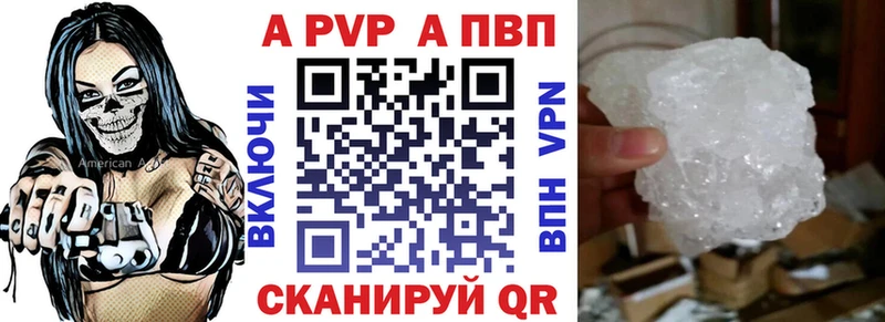 A PVP СК  Енисейск 