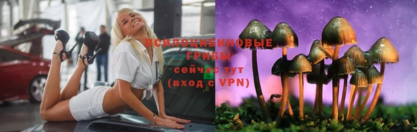 молекула духа Горно-Алтайск