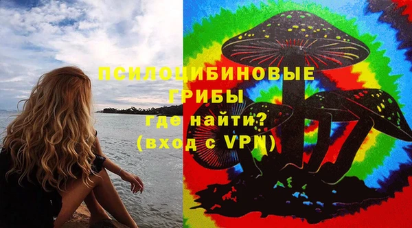 молекула духа Горно-Алтайск