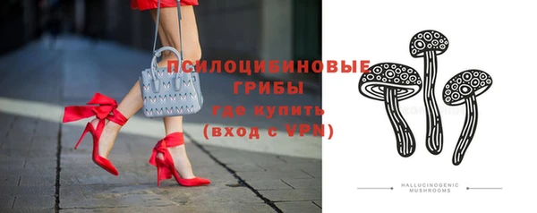 стаф Горнозаводск