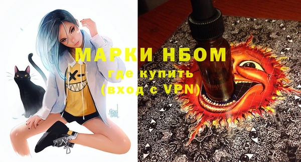 стаф Горнозаводск
