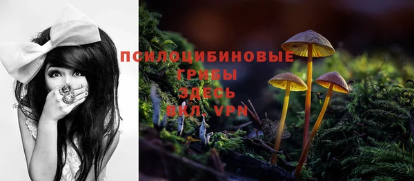 стаф Горнозаводск