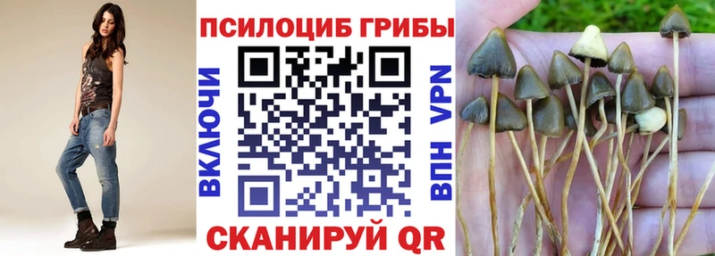 Галлюциногенные грибы ЛСД  KRAKEN ТОР  Енисейск  купить наркоту 